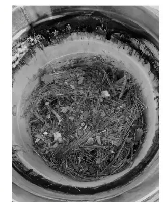 Tyre residue with recovered steel wire