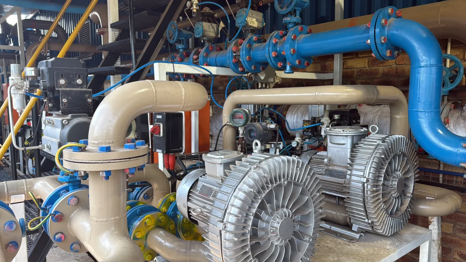 Process pumps and valve manifold